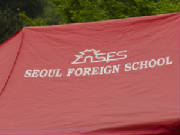 sfs.jpg